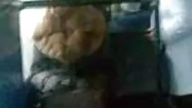 死硬（模仿）2018年