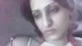 運動犬拉上一個黑髮的成員