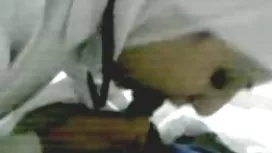 娃娃與小山雀熱情地在沙發上自慰